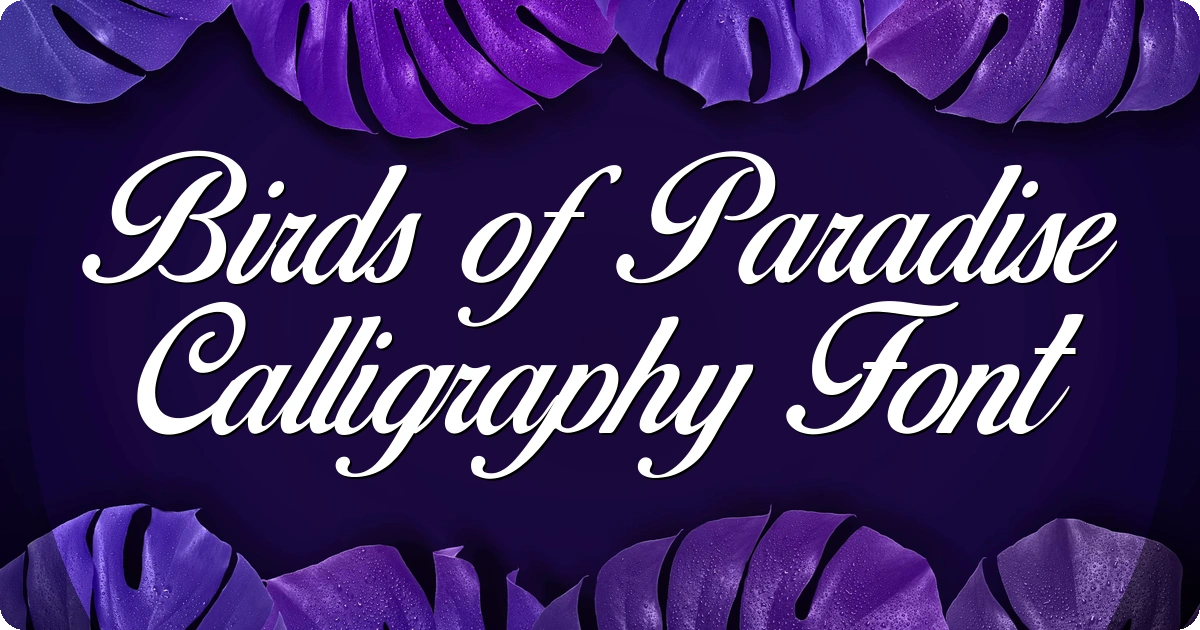 Birds of Paradise Calligraphy Font preview