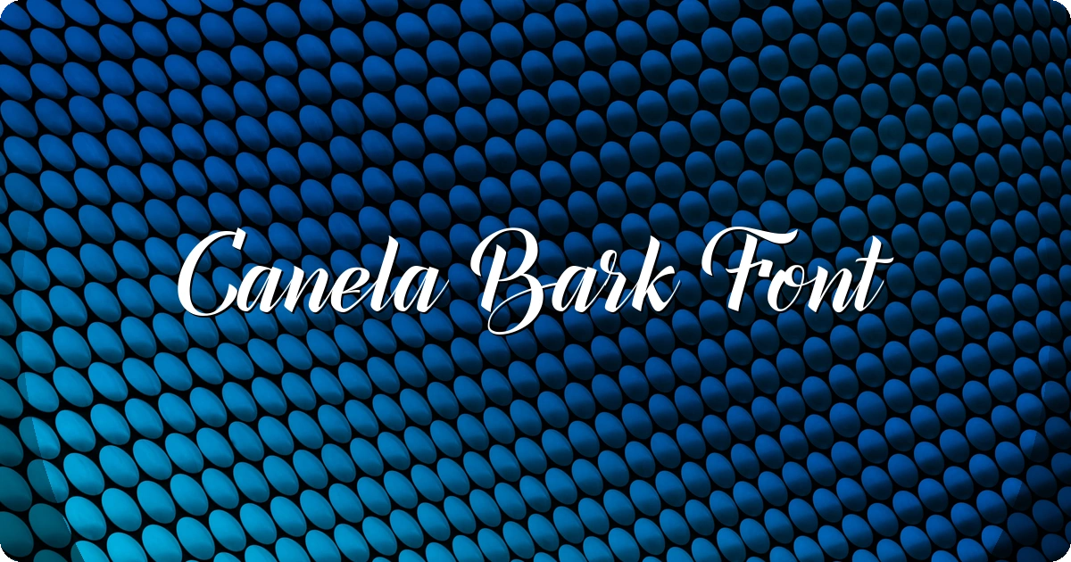 Canela Bark Font preview
