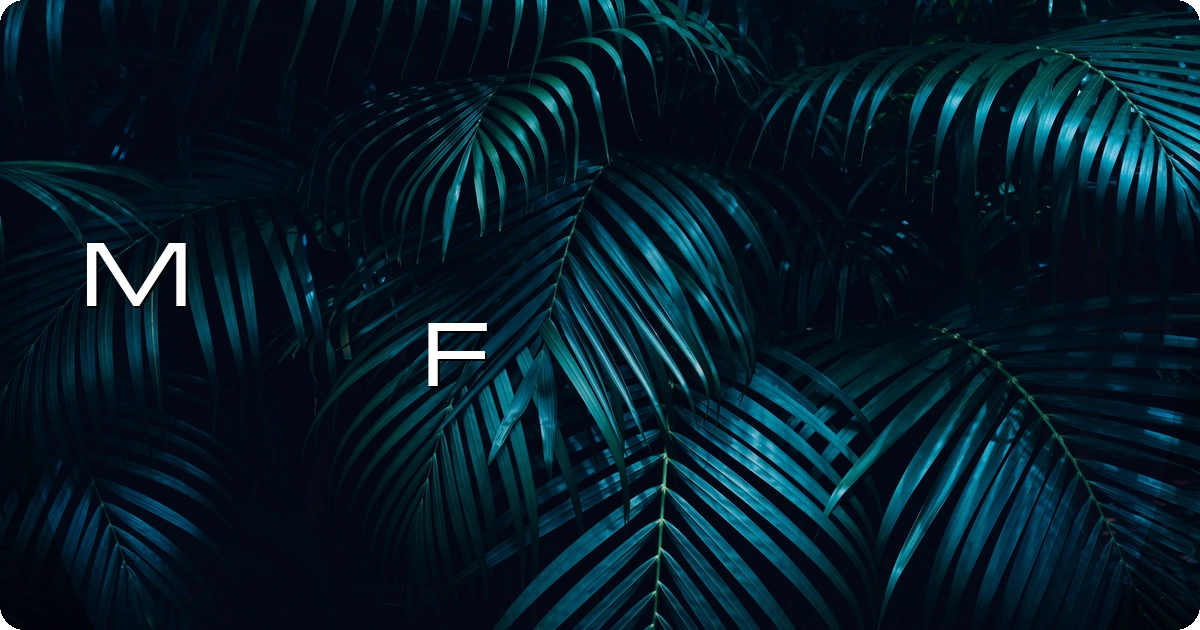 Microgramma Font preview