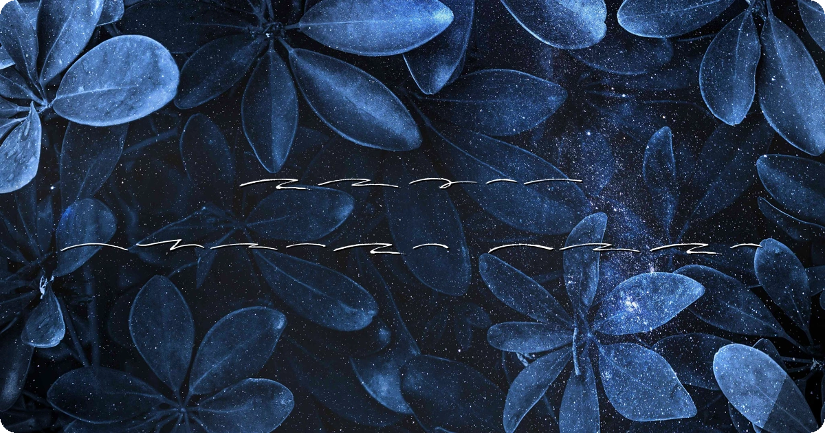 North Island Font preview