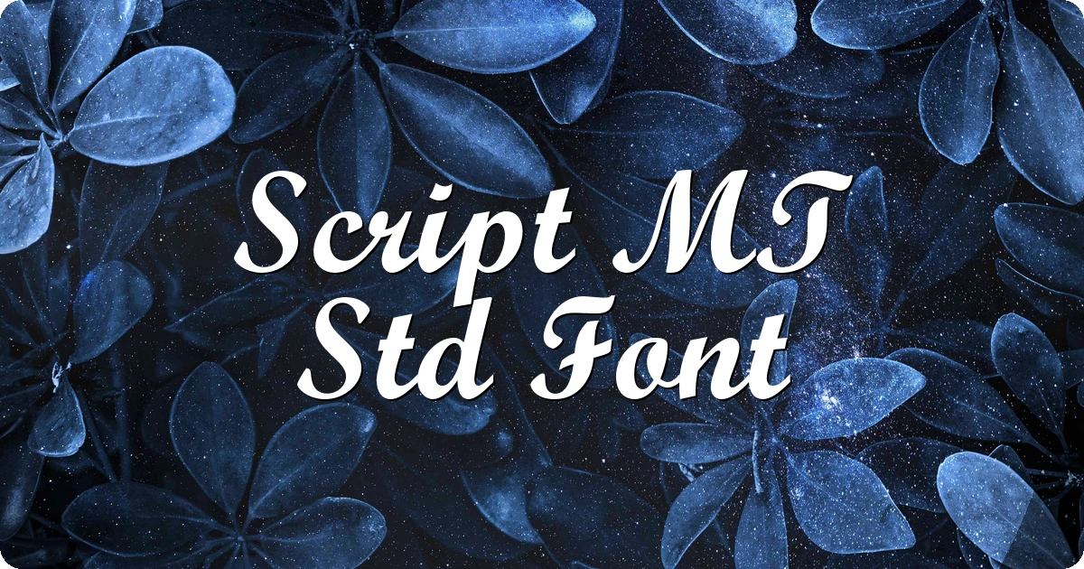 Script MT Std Font preview