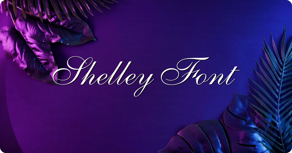 Shelley Font preview