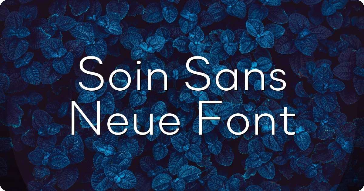 Soin Sans Neue Font preview