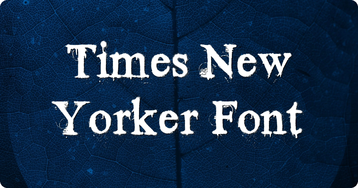 Times New Yorker Font preview