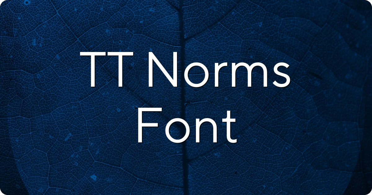 TT Norms Font preview