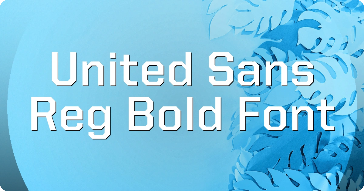 United Sans Reg Bold Font preview