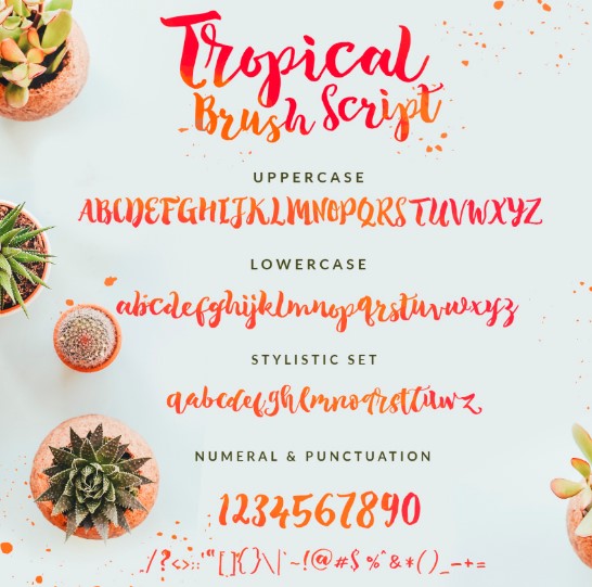 Tropical Script Font View