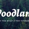 Woodlands Font