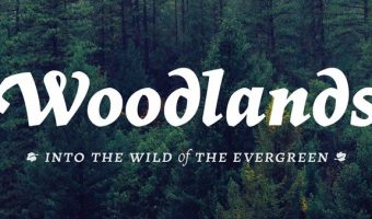 Woodlands Font