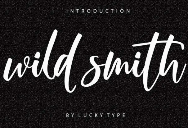 Wildsmith Modern Font View