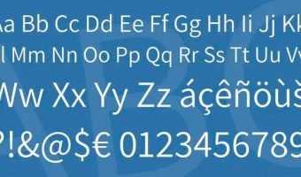 Assitant Font View