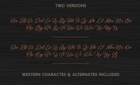 Bonfire Script Font View