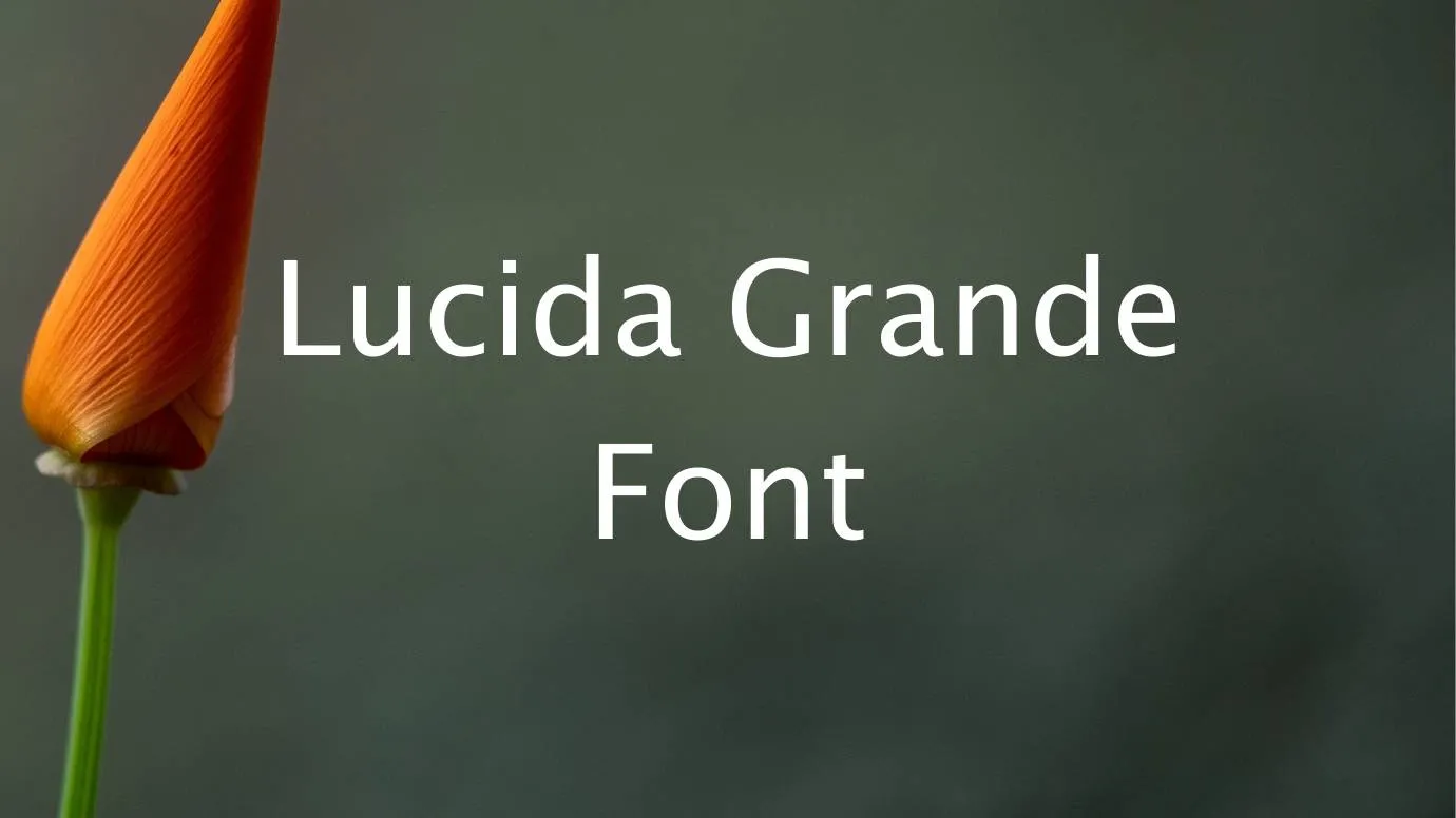 Lucida grande font free download