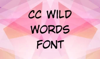 CC Wild Words Roman Font