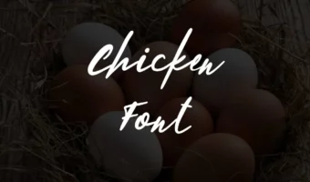 Chicken Font