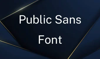 Public Sans Font