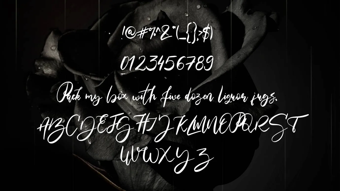 View of Maria Rose SVG Font