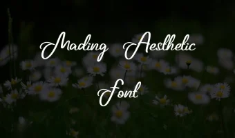 Mading Aesthetic Font