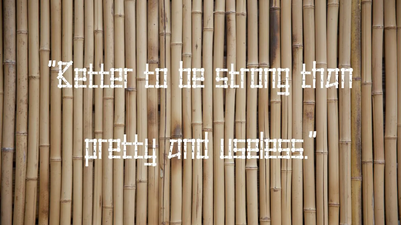 Little Bamboo Font