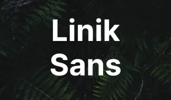 Linik Sans Font
