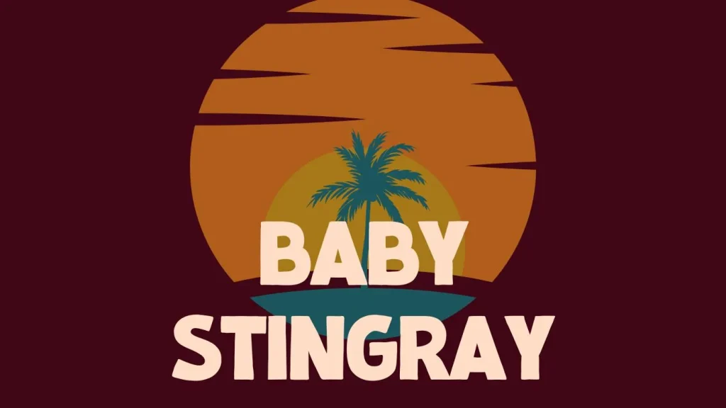 Baby Stingray Font