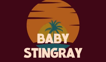 Baby Stingray Font