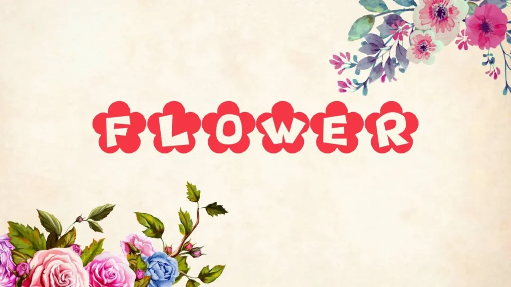 Flower