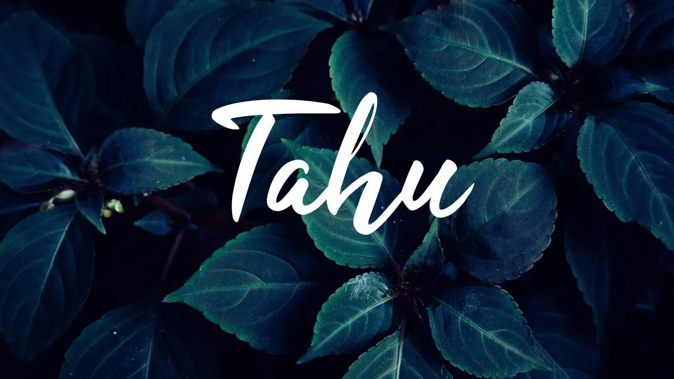 Tahu Font Free Download Tahu Font Free Download